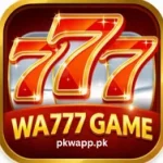 WA 777 Game (2)