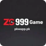 zs 999 game (3)