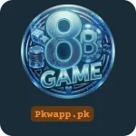 8B Game