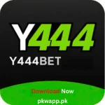 Y444Bet Game