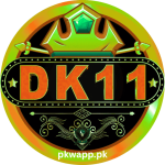 pkwapp.pk (1)