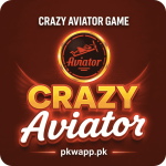 Crazy Aviator