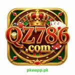 QZ 786 Game